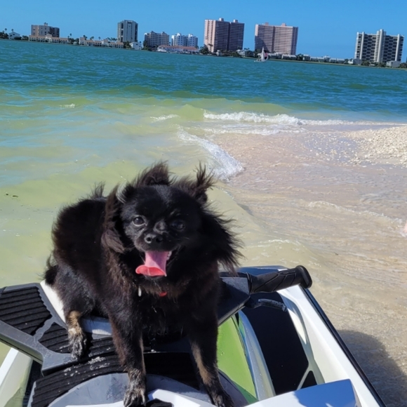 HI WELCOME TO MY STORE..ON POSHMARK - Picture 1 of 16